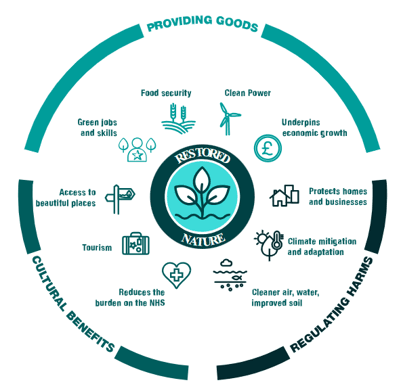 Environmental Improvement Plan diagram