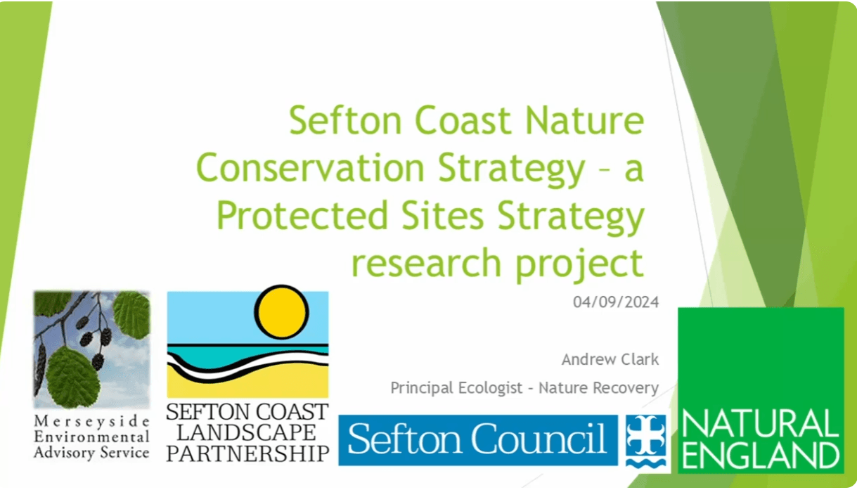 Birds and insects on the Sefton coast
